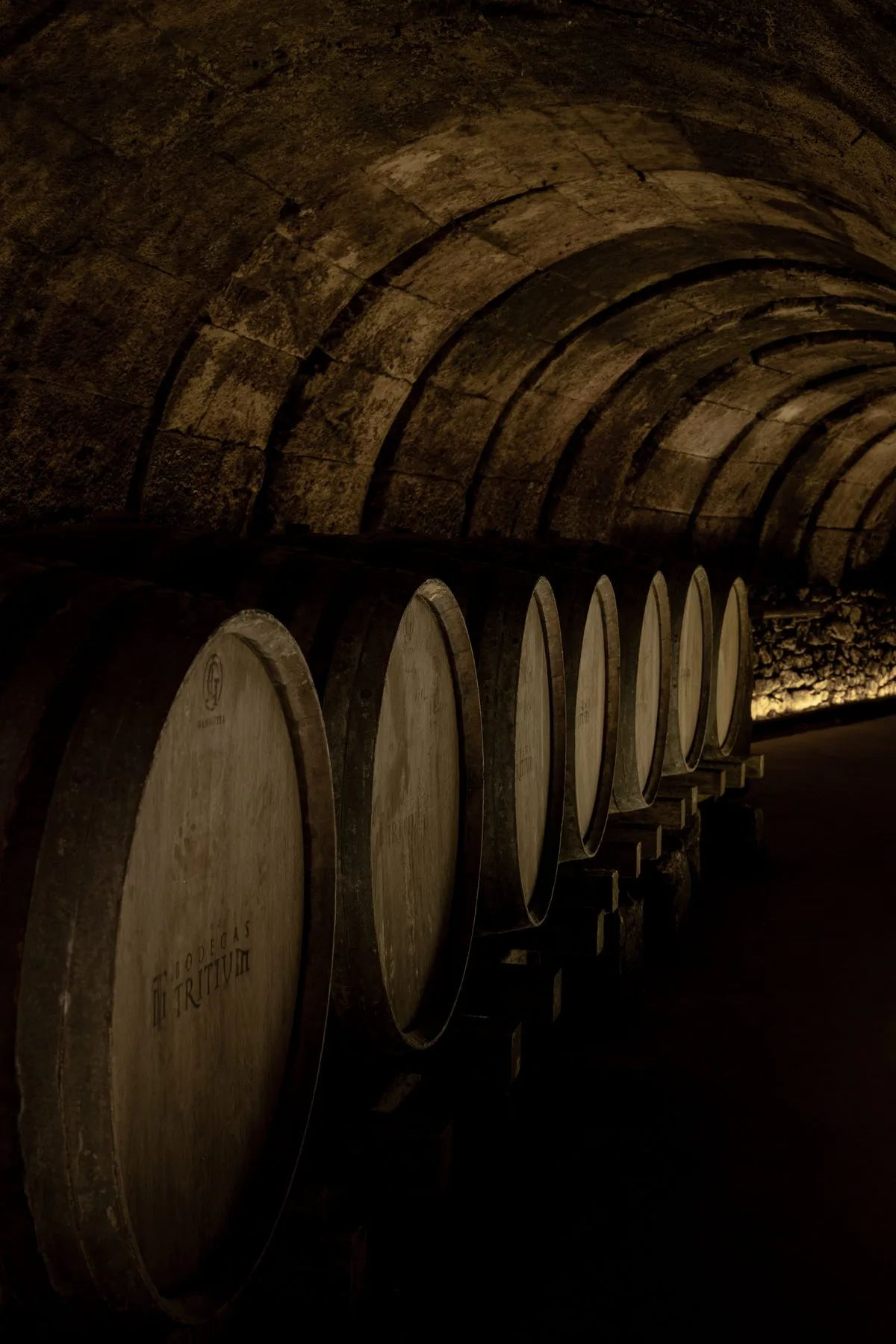 Bodegas Tritium: Enoturismo · Web + club de vino + email marketing + ads
