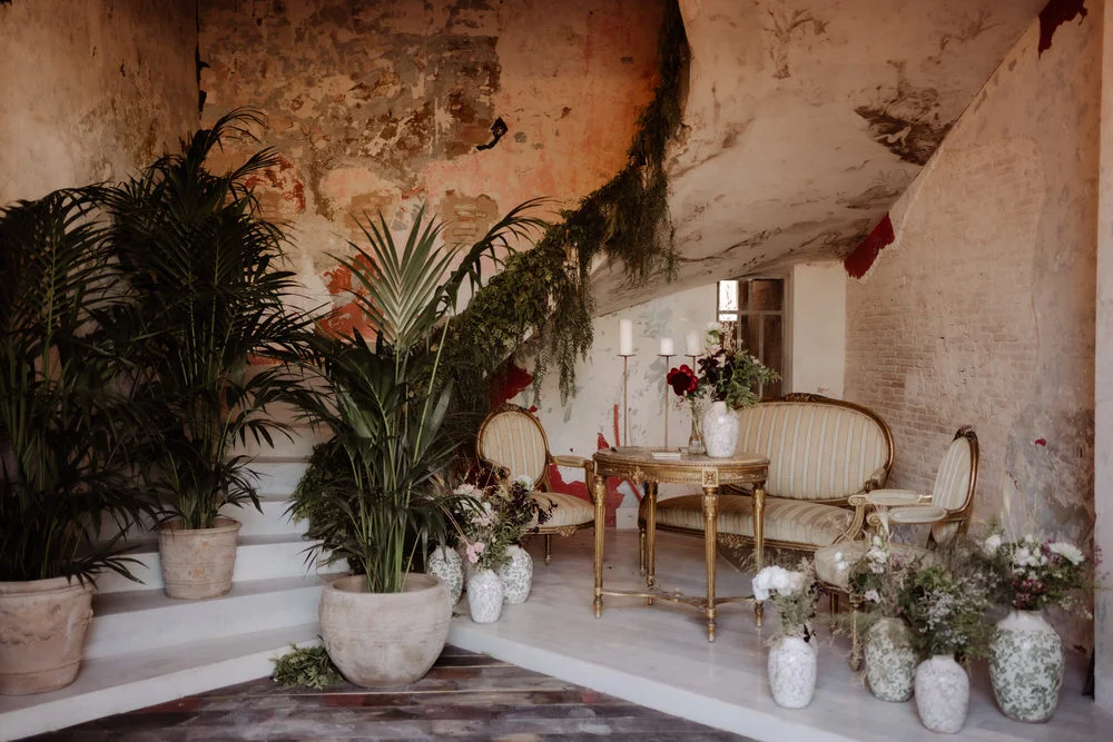 Rincón con plantas y sofás en El Molí de la Torre