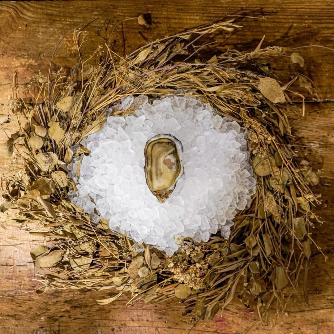 Ostra sobre hielo en un nido de paja, fotografía de MUYNEGRE