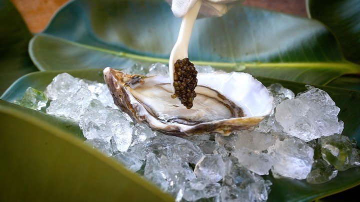 Ostra con caviar sobre hielo, fotografía de MUYNEGRE