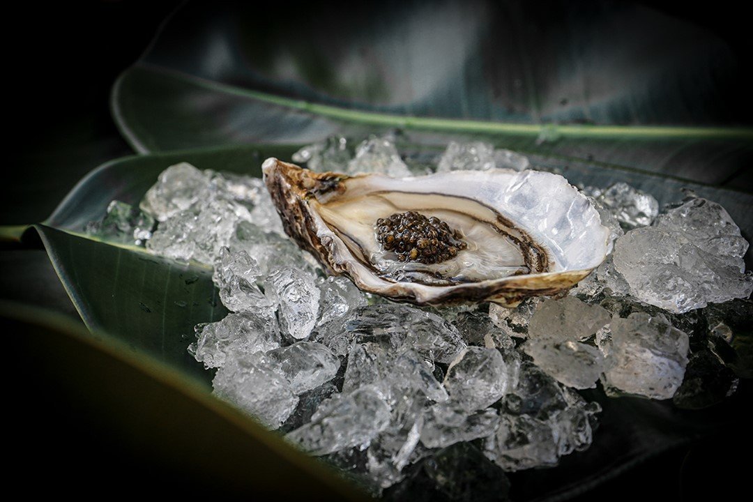 Ostra con caviar sobre hielo picado, fotografía de MUYNEGRE