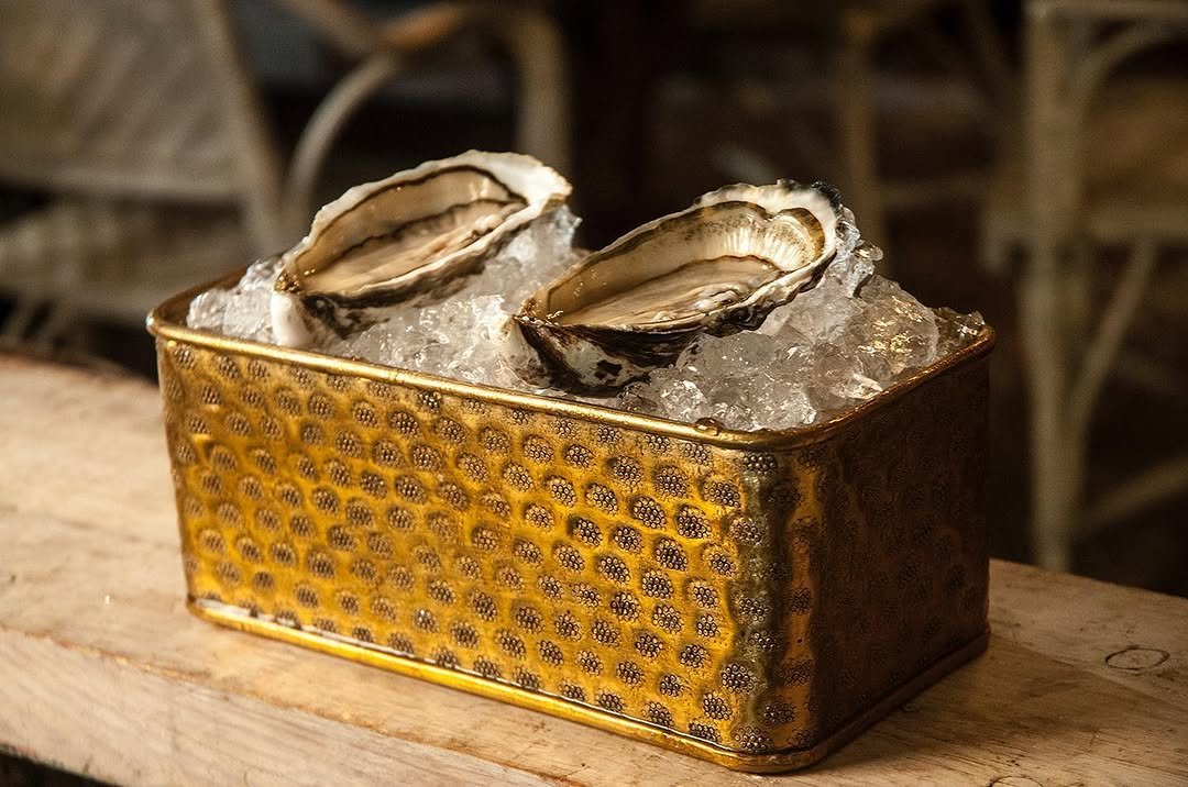 Ostras en caja dorada con hielo, fotografía de MUYNEGRE
