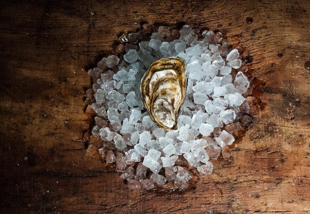 Ostra sobre hielo y madera, fotografía de MUYNEGRE