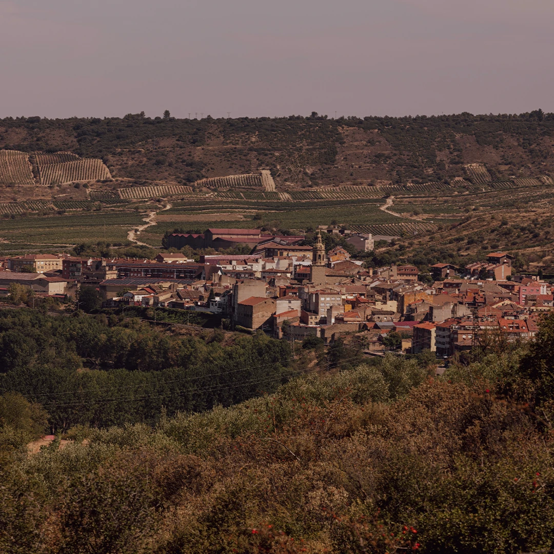 Vista del valle y el pueblo desde el viñedo